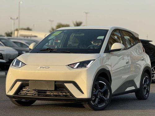 بي واي دي سيجول BYD SEAGULL  FLYING