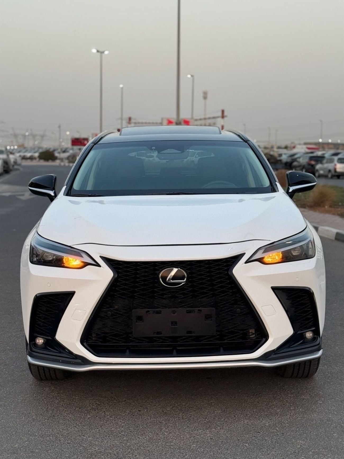 Lexus NX 250 Lexus NX 250 premium 2025