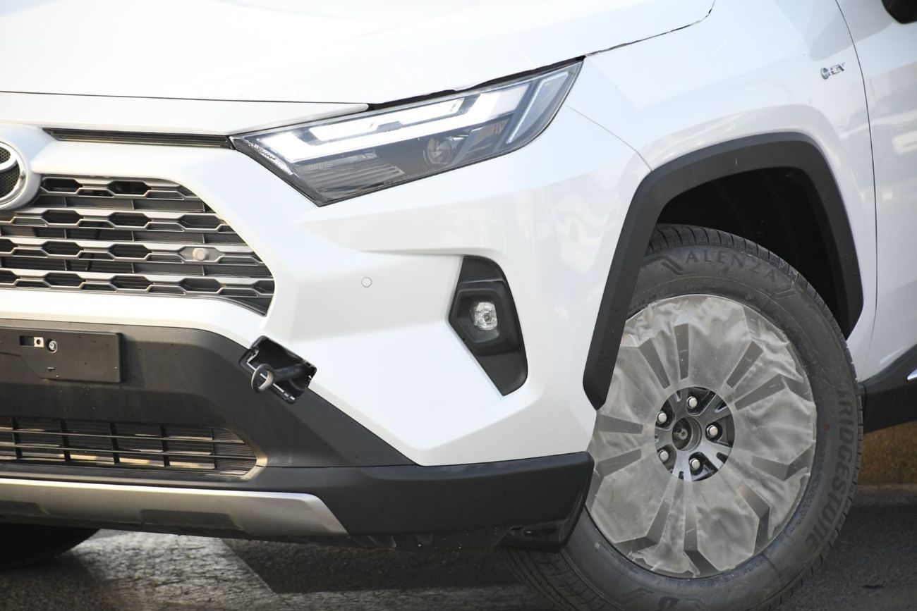 Toyota RAV4 Limited 2.5L hybrid with BSM & Door Molding