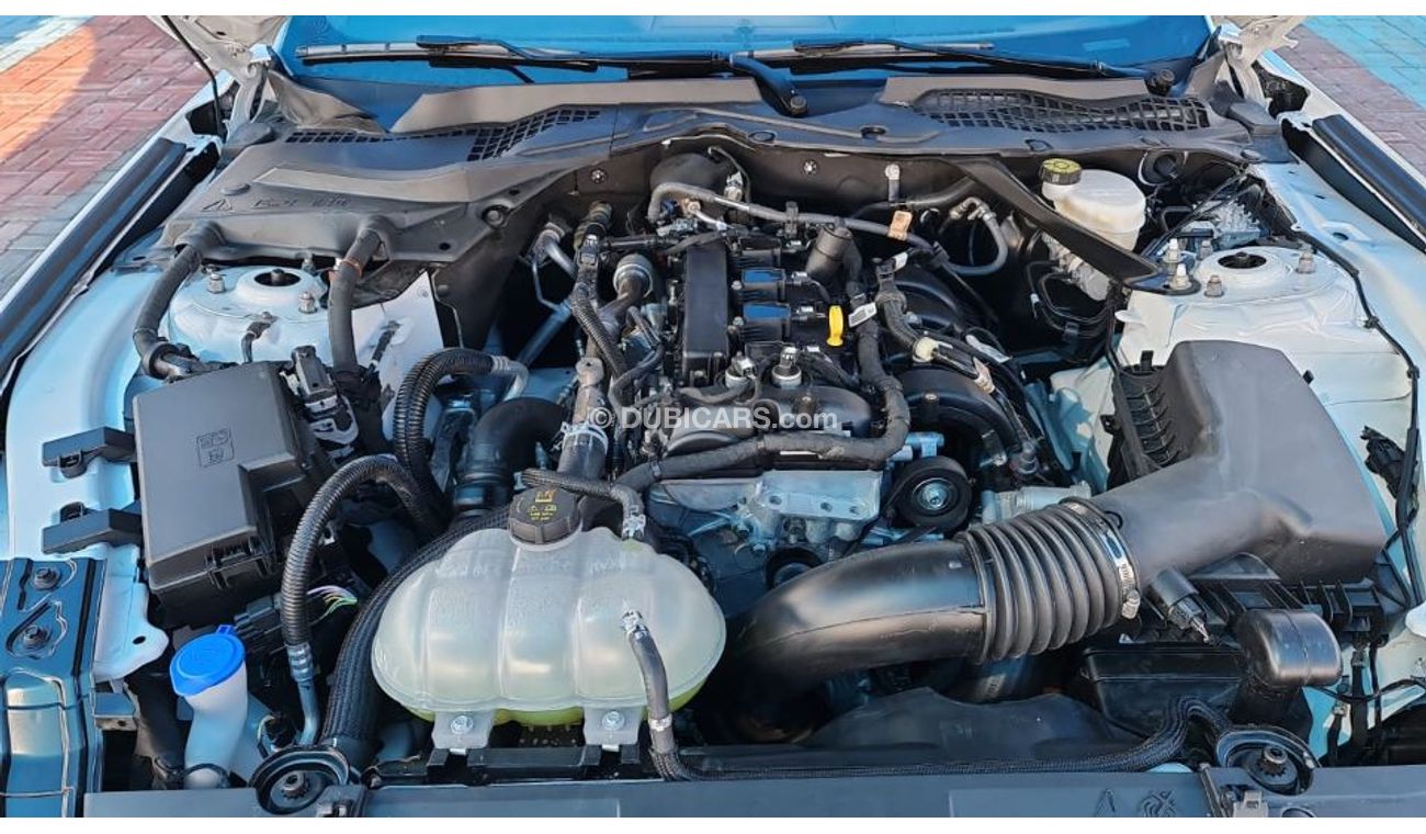 Ford Mustang car in perfect condition 2023 2.3l  America