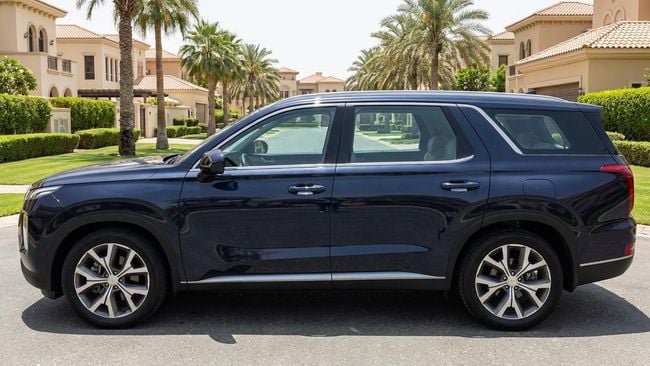 Hyundai Palisade PREMIUM, миниатюра 27