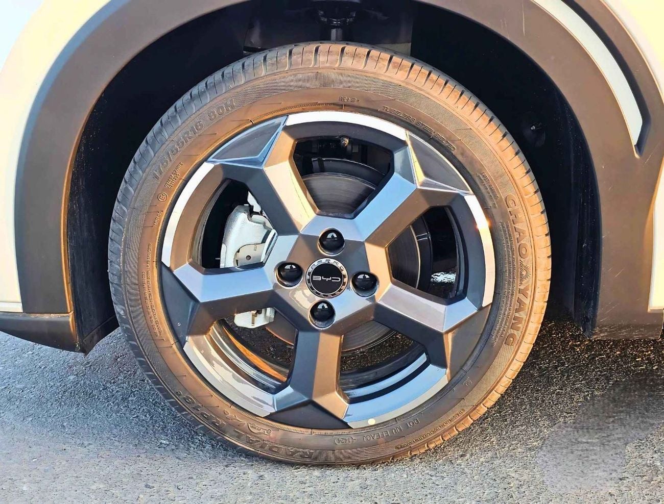 بي واي دي سيجول FLYING EDITION / ELECTRIC / FULL OPTION (CODE # 68075)