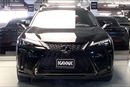 Lexus UX200 F Sport Platinum | Guaranteed Warranty | 0 Down Payment