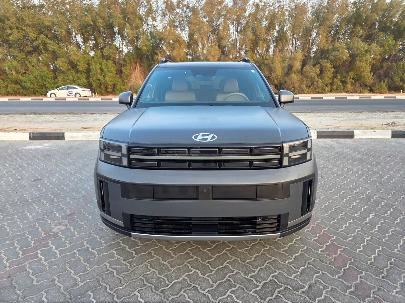 Hyundai Santa Fe Limited