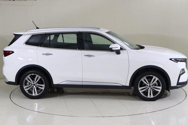 Ford Territory TITANIUM, миниатюра 18