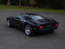 Ford GT Rare 1 of 14 Stripe Delete