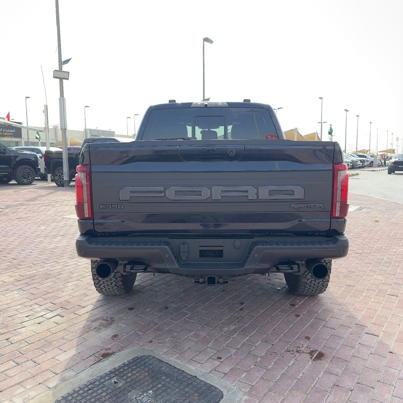 Ford F 150 Raptor Raptor 3.5L