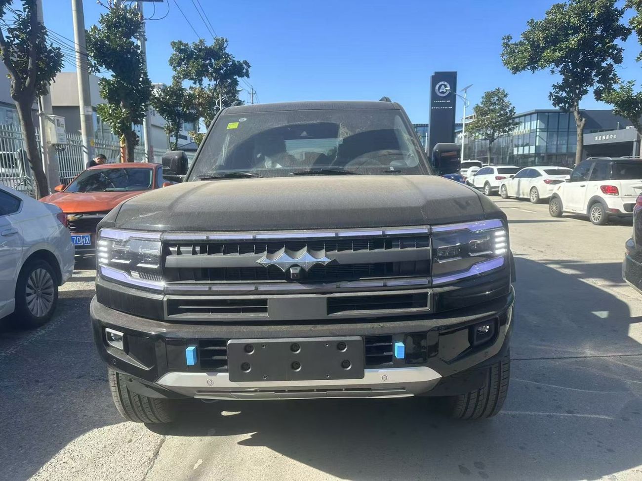 بي واي دي ليوبارد 5 Export Price