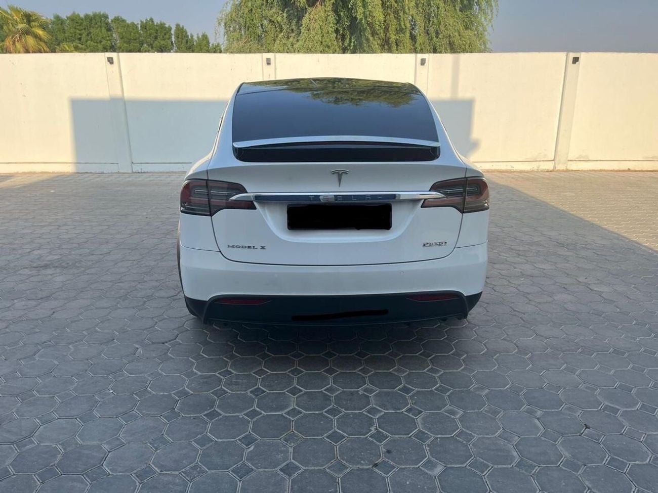 تسلا موديل اكس P100 D Long range