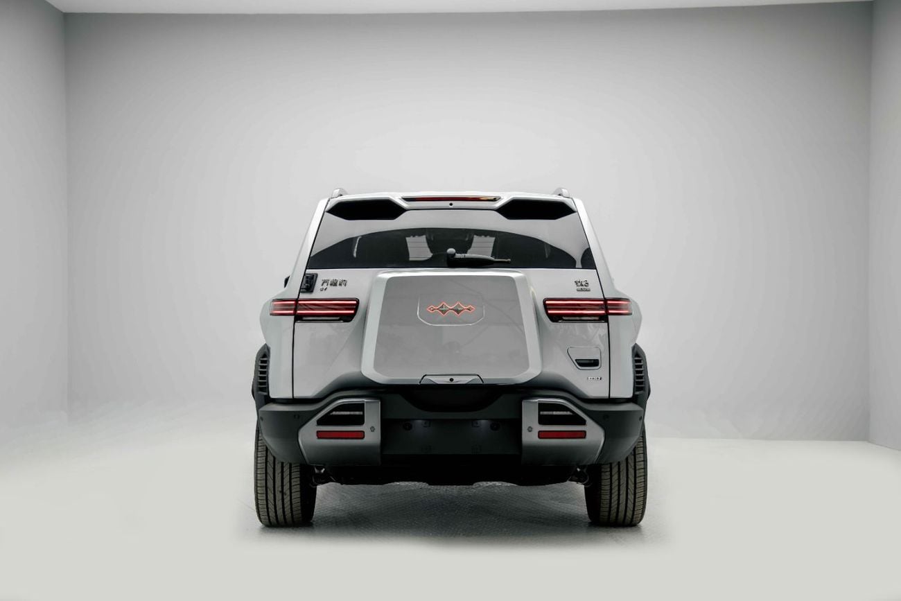 BYD Leopard Titanium 3 ID Ultra - Silver Inside Black | Export Only