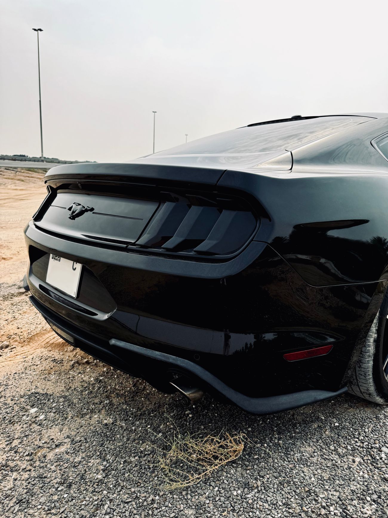 Ford Mustang Ecoboost Premium