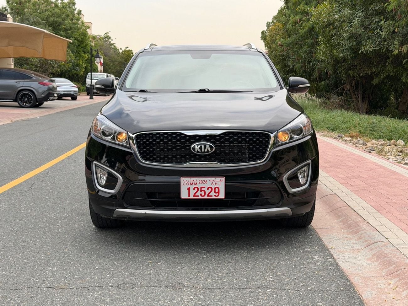 Kia Sorento EX TOP