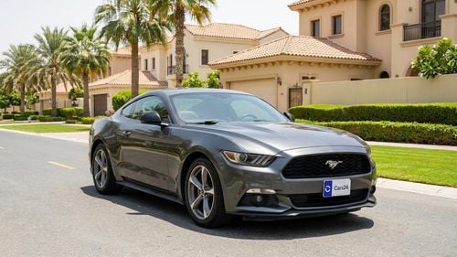 فورد موستانج ستاندارد كارس24 هي سوق ضخم للسيارات المستعملة موثوق ومضمون ٪كارس24 هي سوق ضخم للسيارات المستعملة موثوق ومضمون