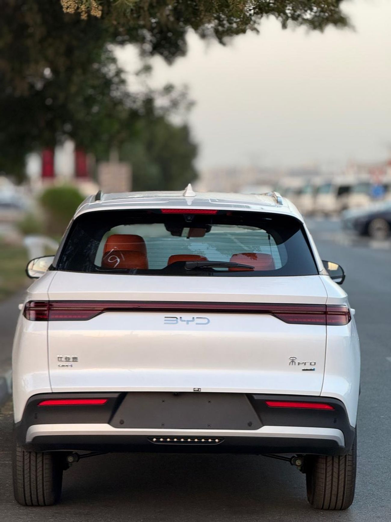 بي واي دي سونغ برو