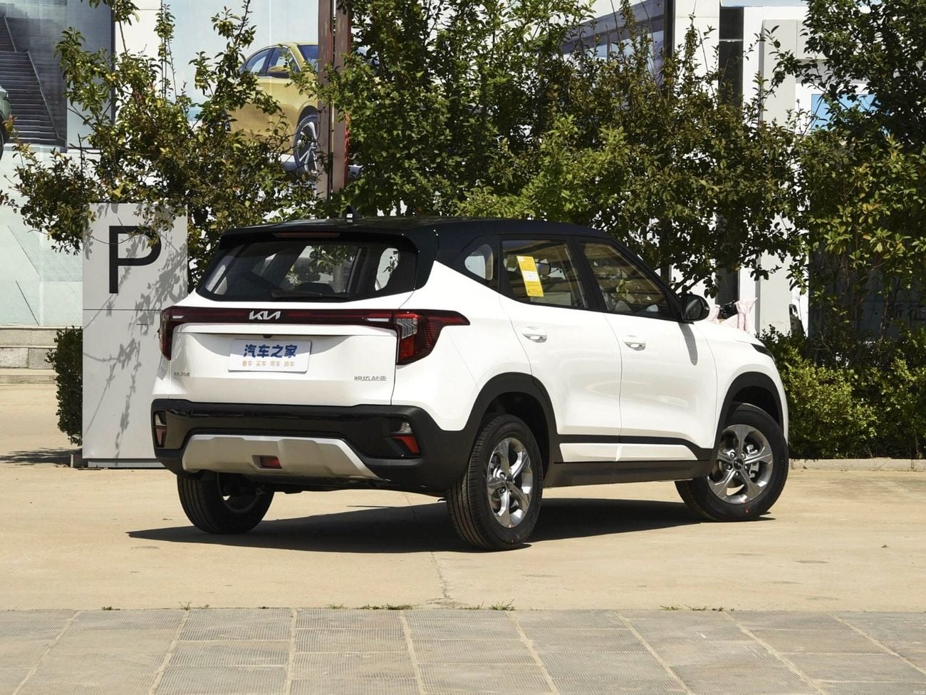 Kia Seltos white-black