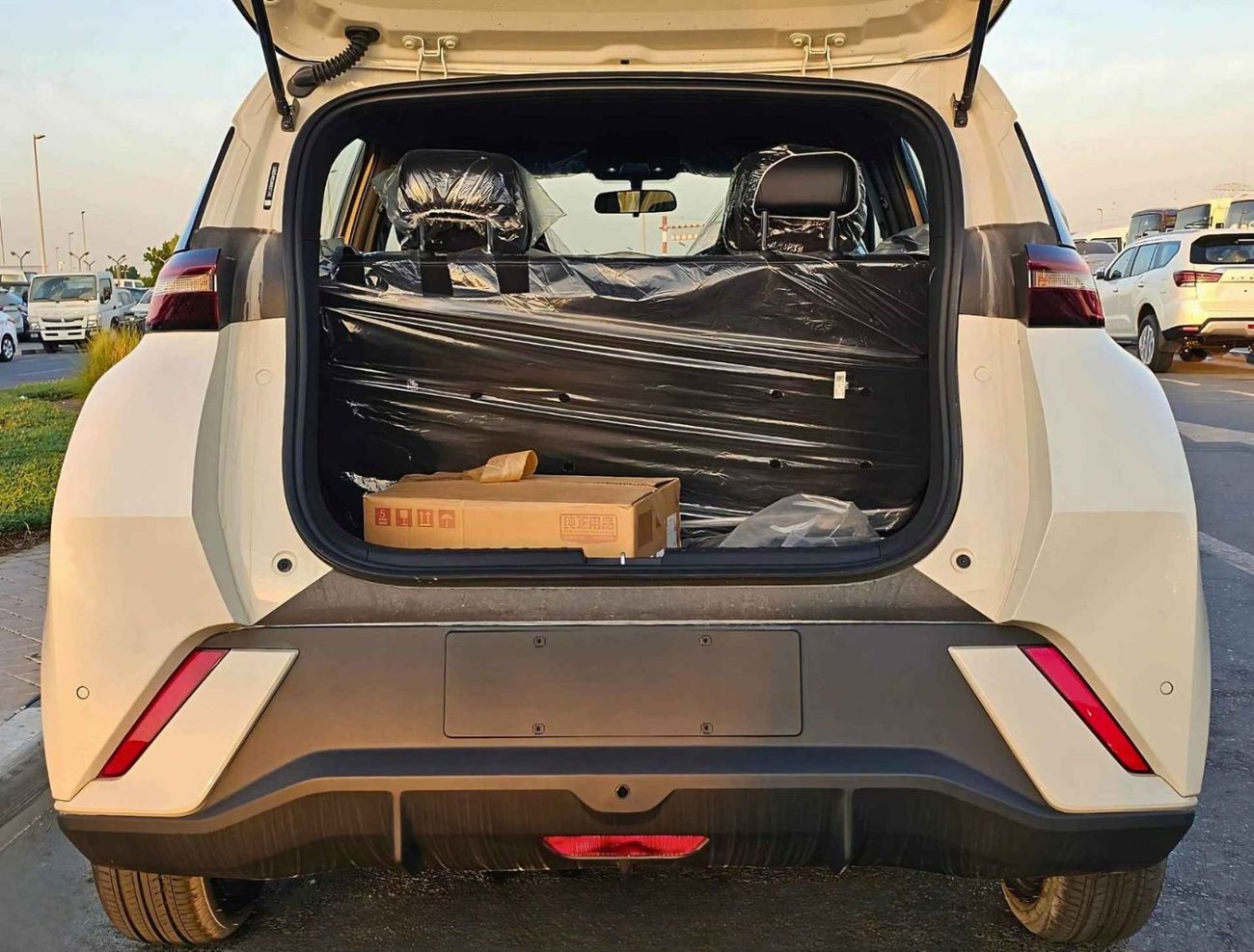 بي واي دي سيجول 