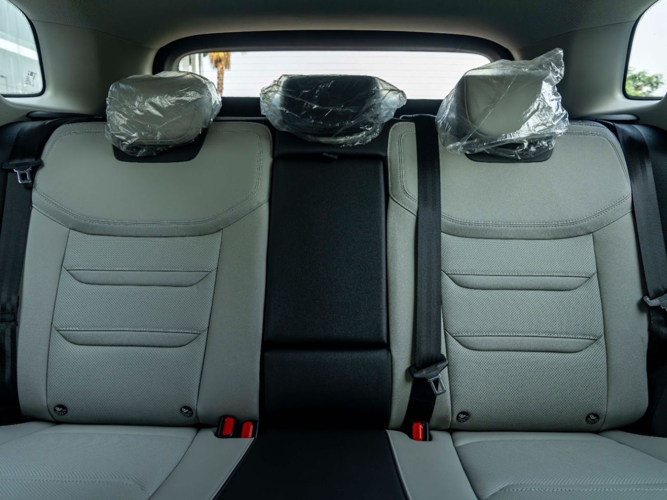 فورد تيريتوري TREND