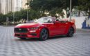 فورد موستانج Ford Mustang 2024 مواصفات أمريكية