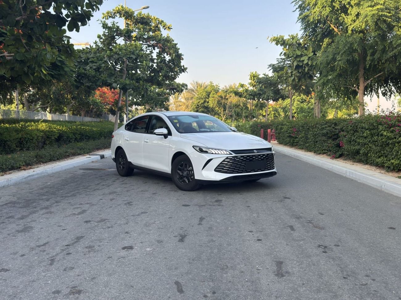 BYD QIN PLUS STD