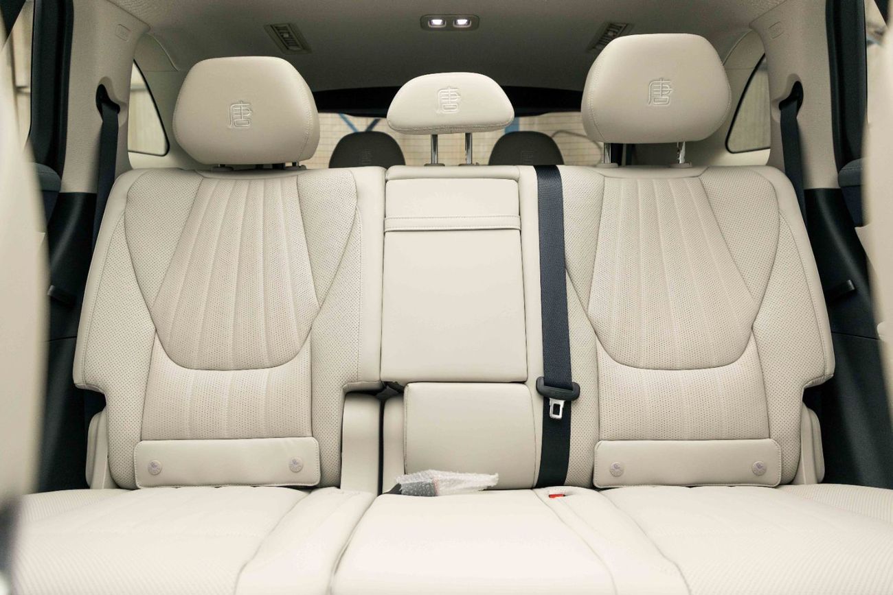 BYD Tang L Flagship- White Inside Black and Grey | Export Only