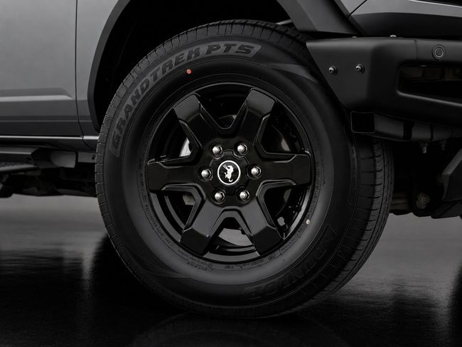 Ford Bronco WILDTRAK, миниатюра 25