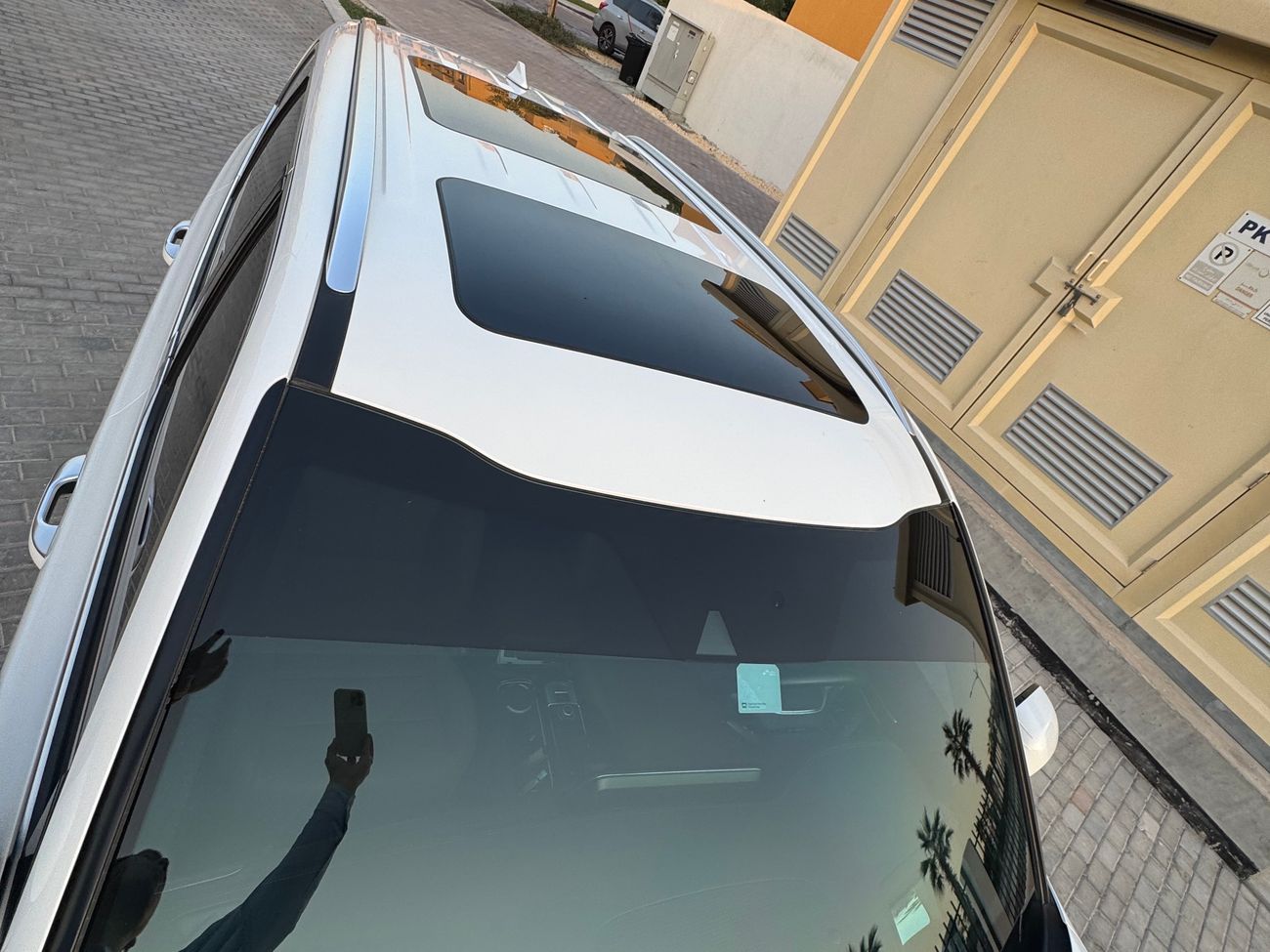 كيا تيلورايد