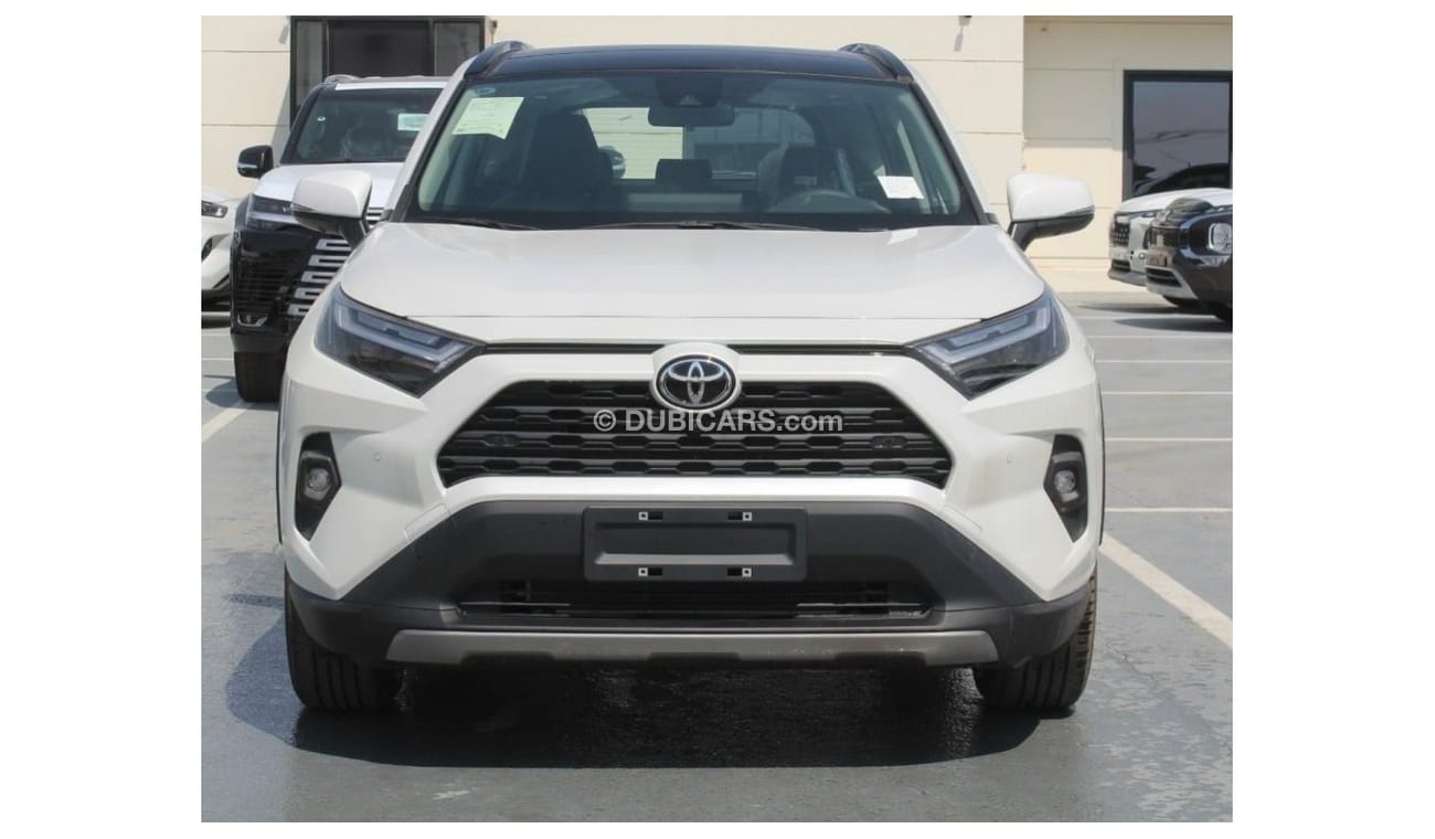 Toyota RAV4 2023 RAV4 2.0L 20th Anniversary 2WD