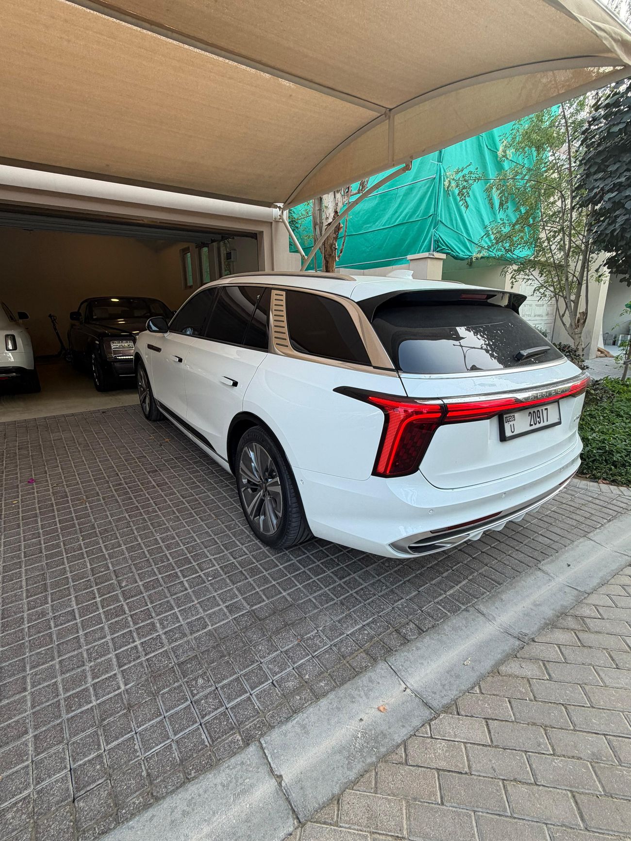 هونغشي EHS9 Executive