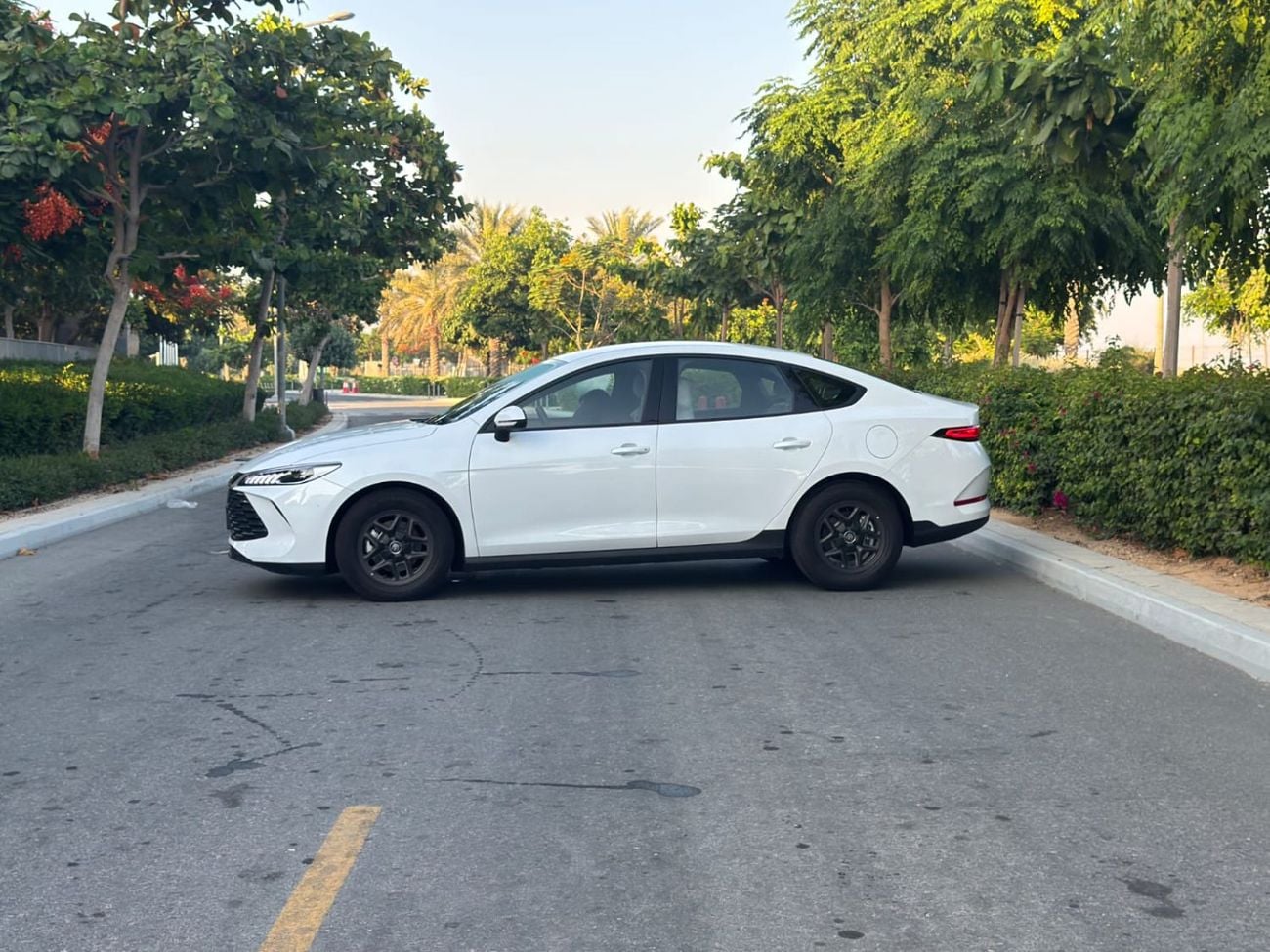 BYD QIN PLUS STD