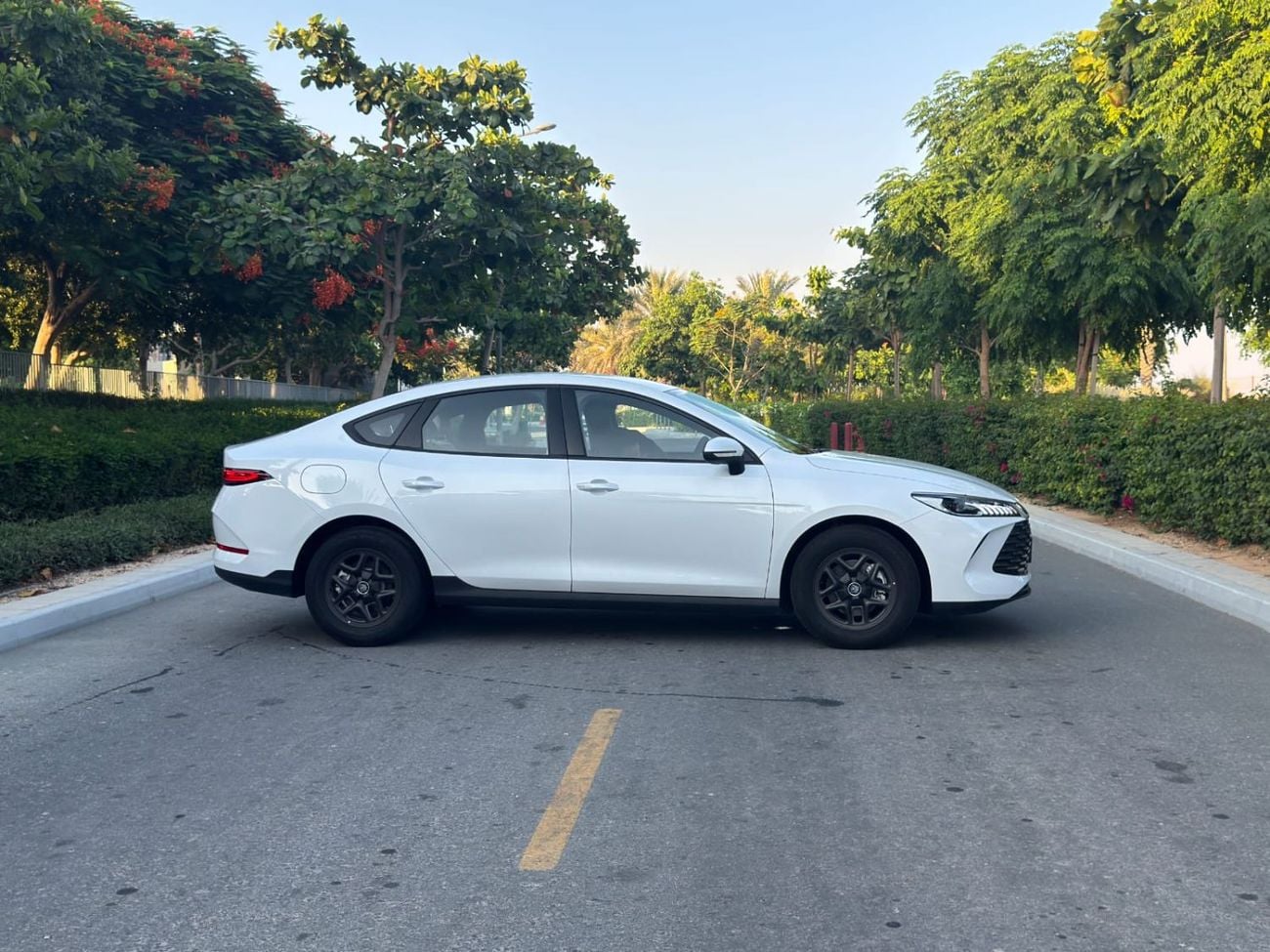 BYD QIN PLUS STD