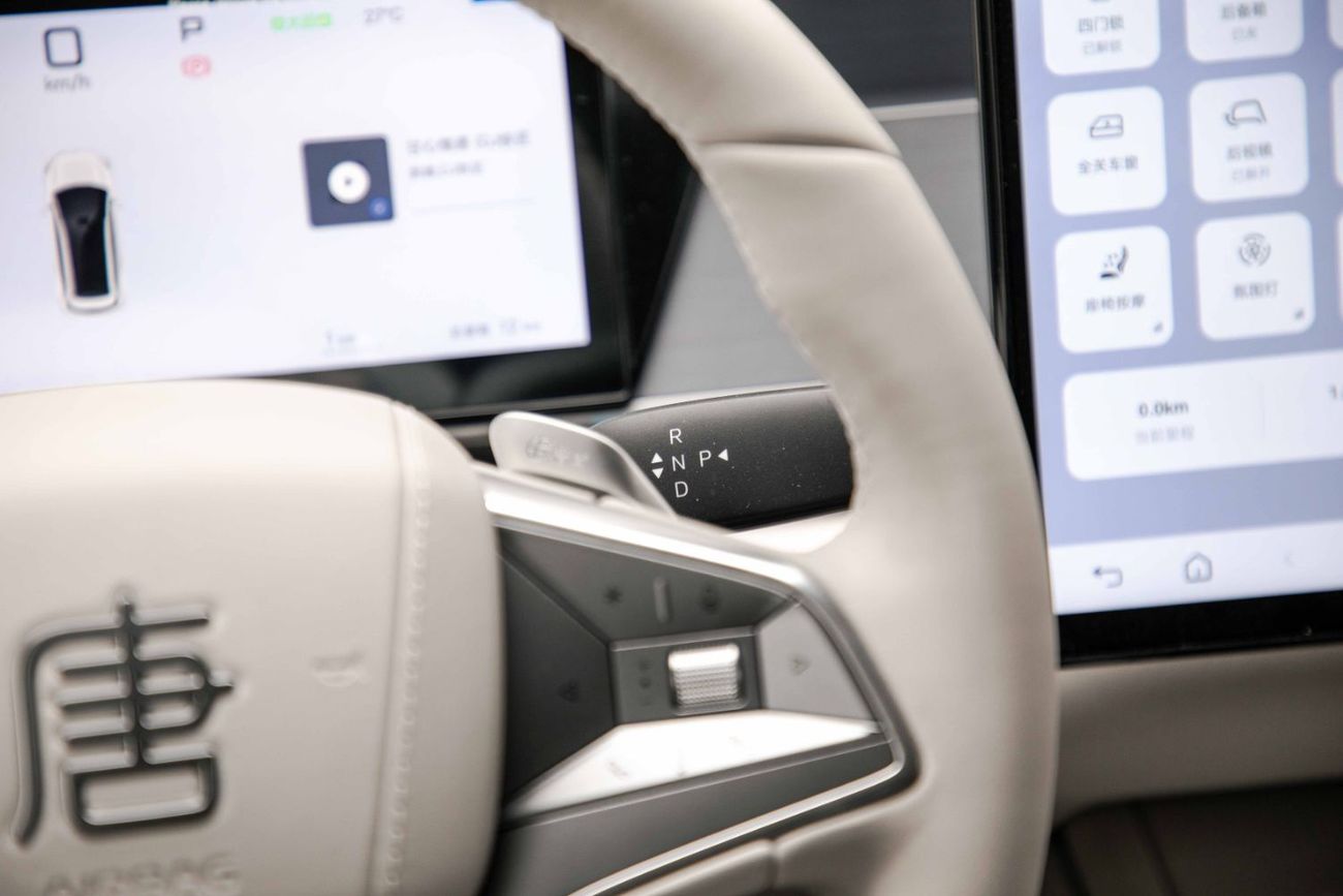 بي واي دي تانغ ل Flagship Lidar EV - Black Inside Grey | Export Only