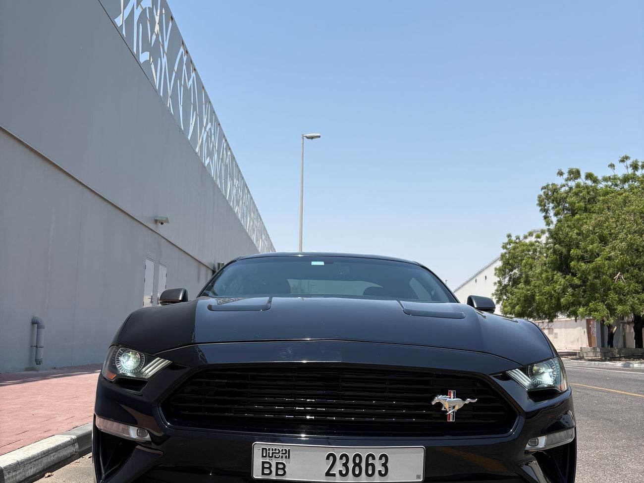 فورد موستانج