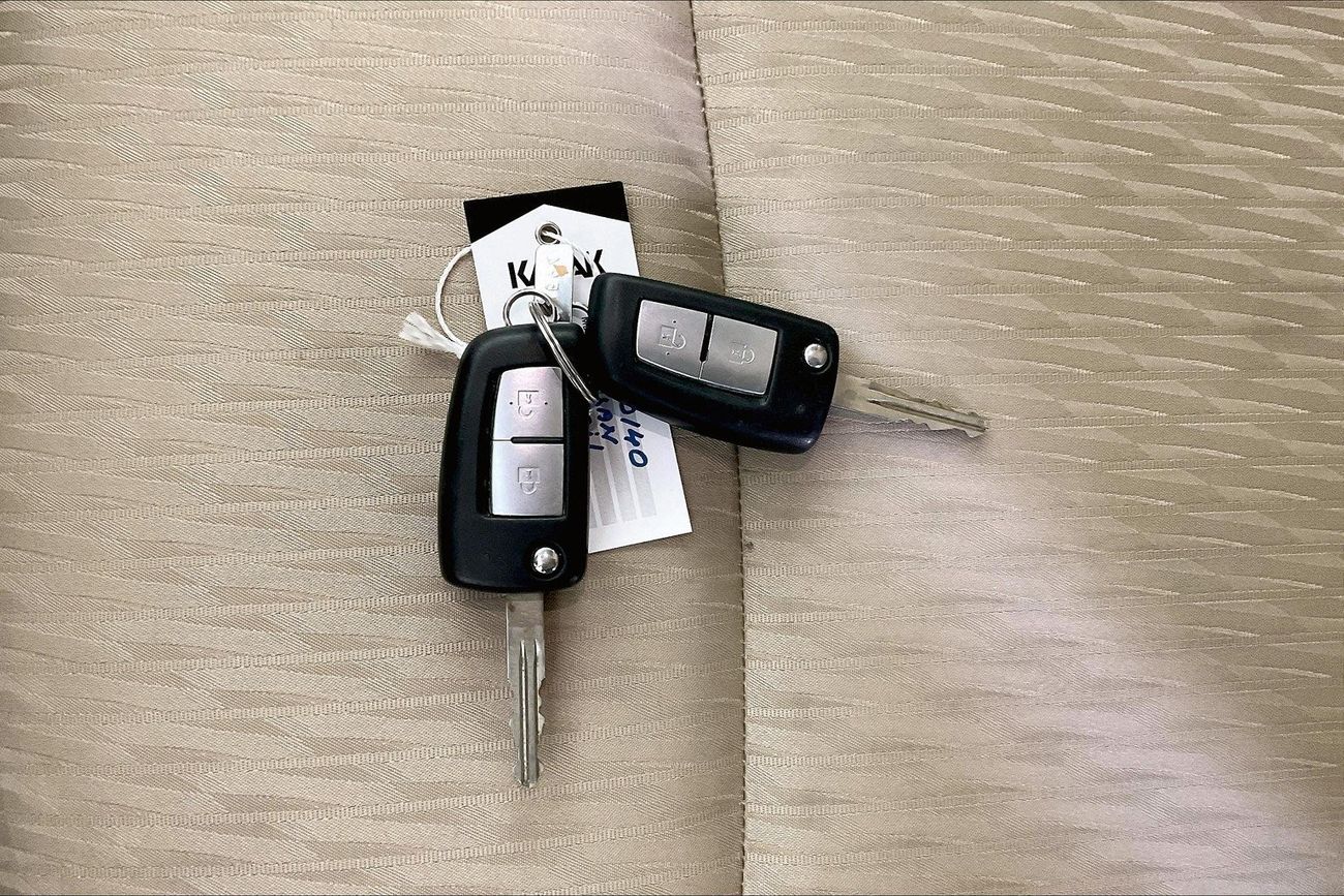 Tesla Model 3 Standard | Guaranteed Warranty | 0 Down Payment