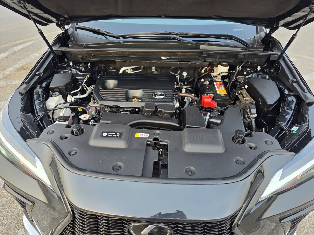 Lexus NX 250 2023 Model NX250 Full option Sunroof , Parking sensore