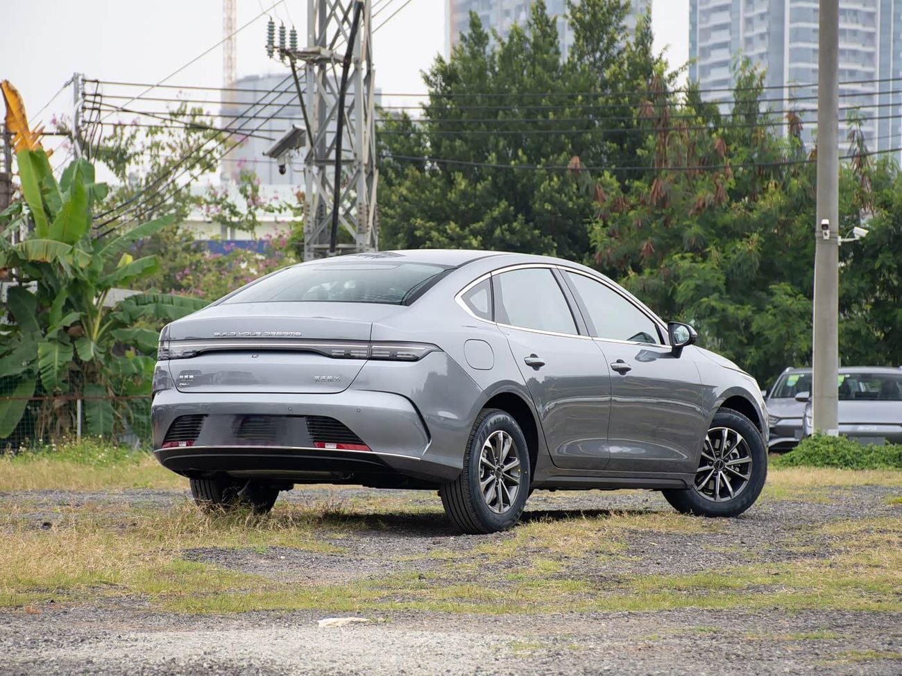 بي واي دي ديسترويار 05 Luxury