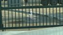 Nissan Patrol Nissan/PATROL V6/ 3.5LTT LE Platinum City AT
