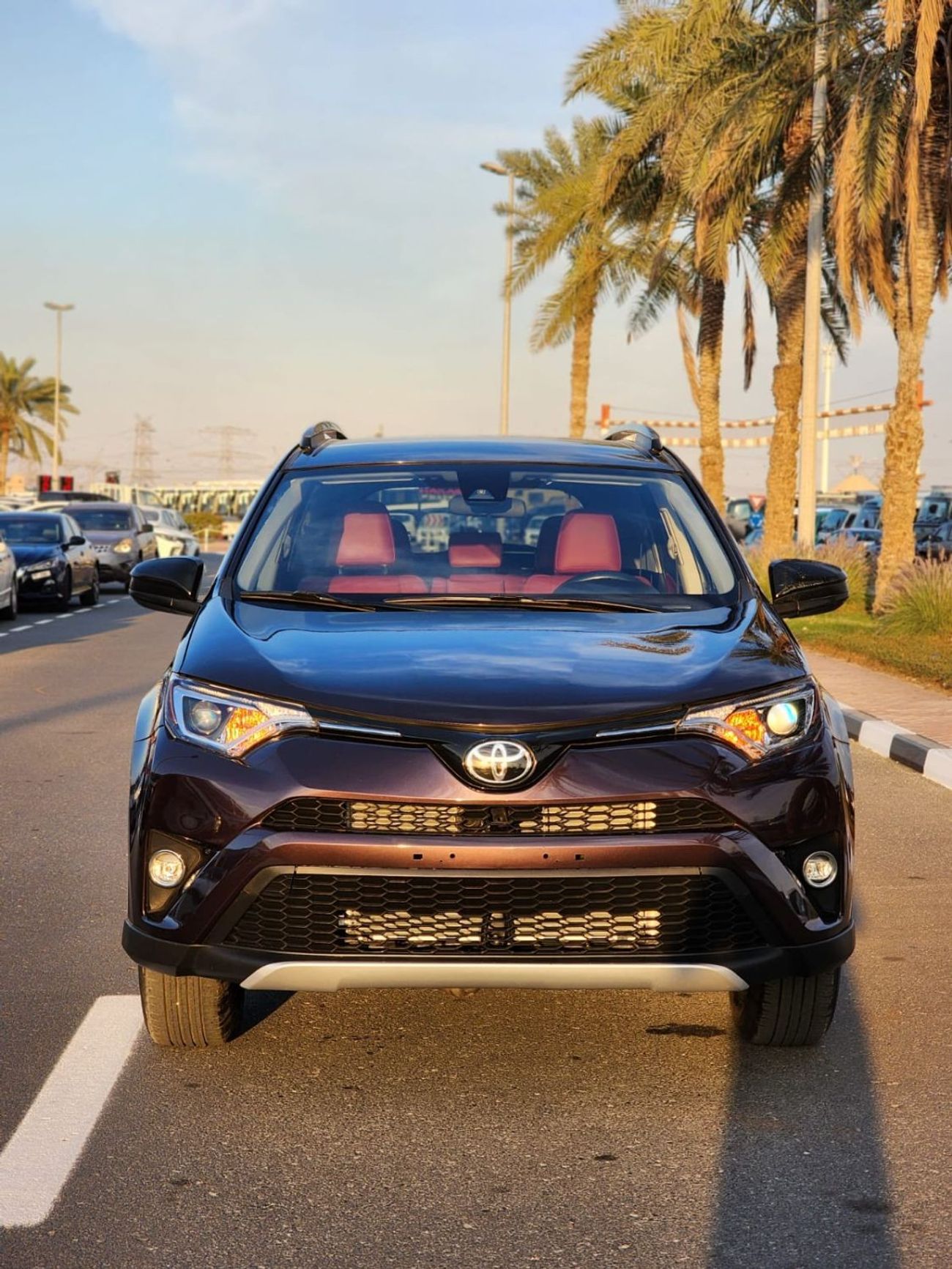 Toyota RAV4 EX TOYOTA RAV4 LE 2017 PURPLE