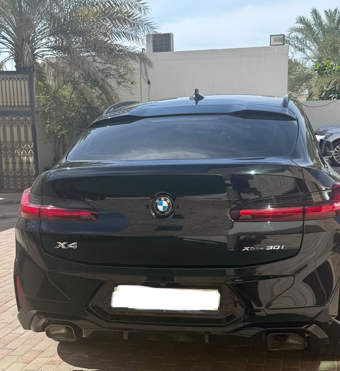 BMW X4 xDrive 30i X 3.0L