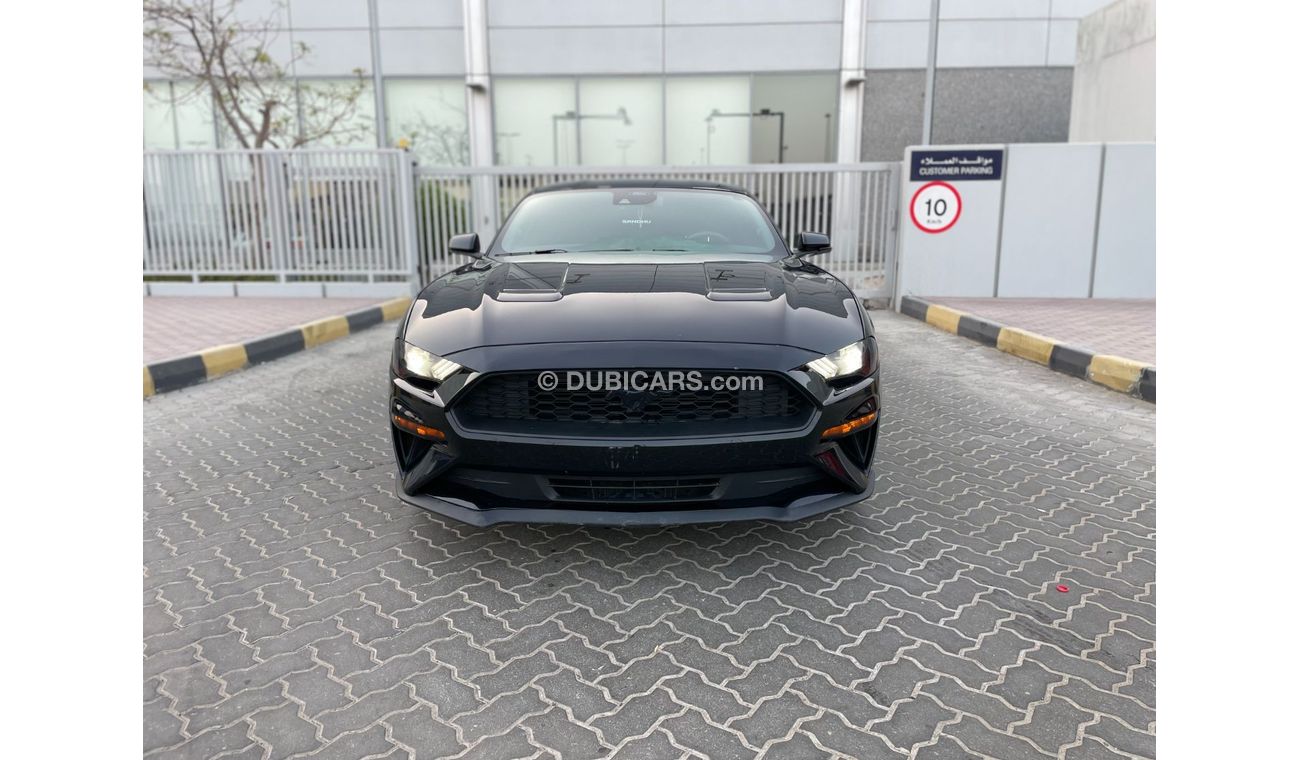 فورد موستانج Canadian importer