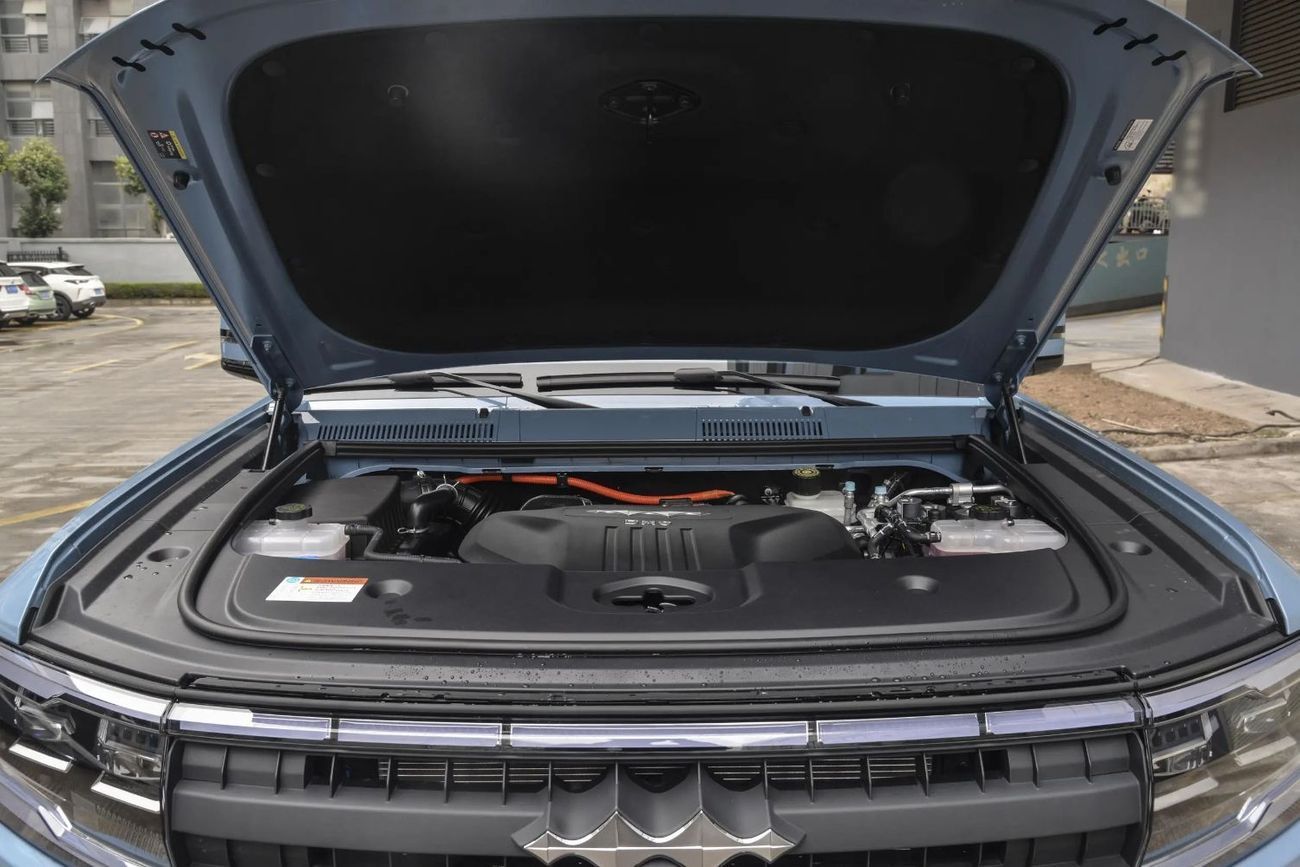 بي واي دي ليوبارد 5