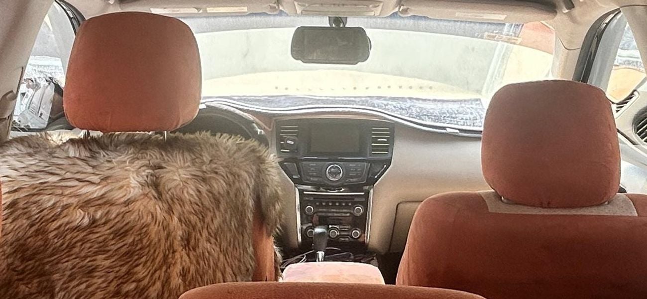 Nissan Pathfinder Std 3.5L