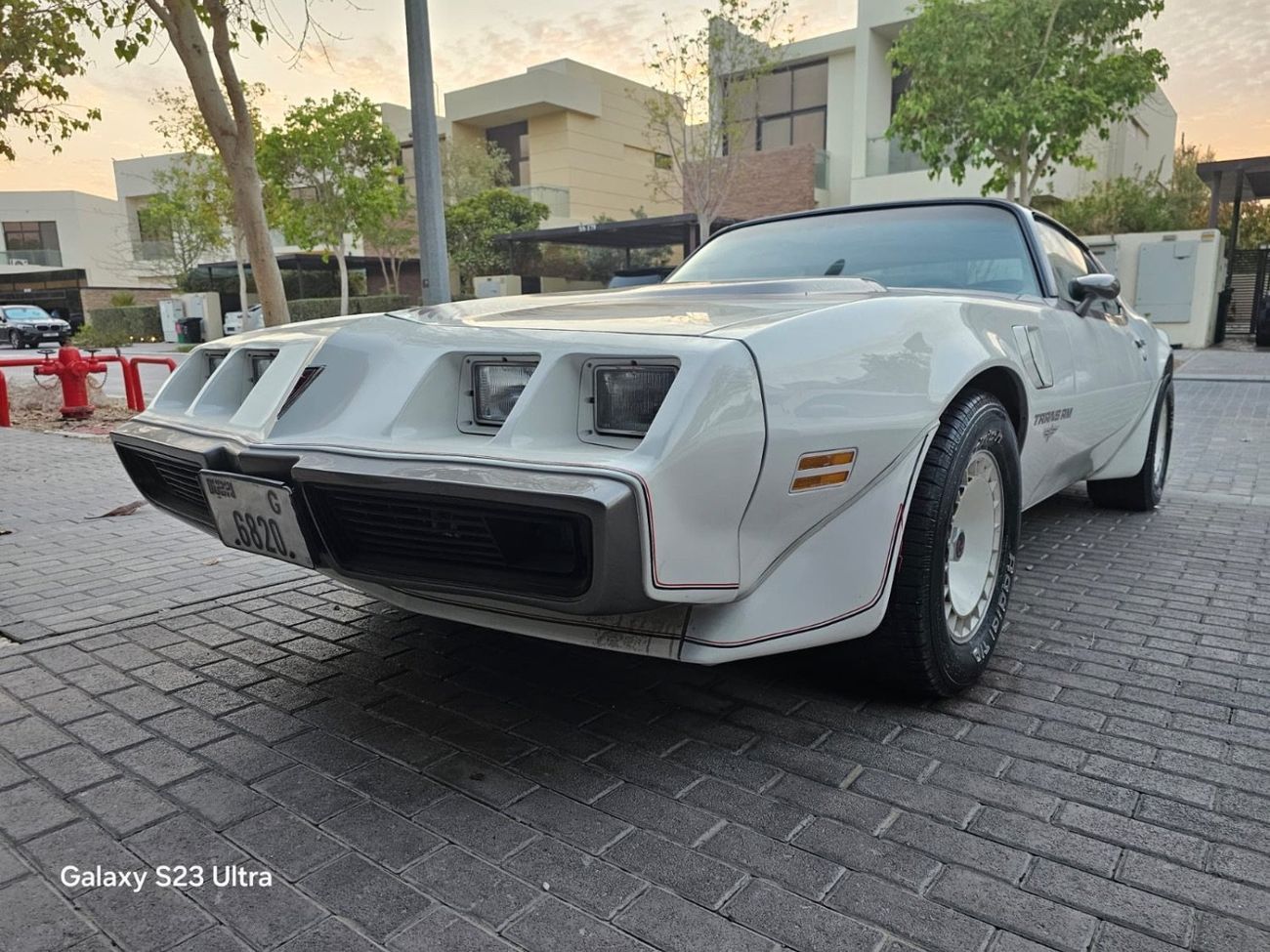 Pontiac Trans Am PACE CAR 301-4V 4.9L TURBO V8 | 1980 | Perfect Condition