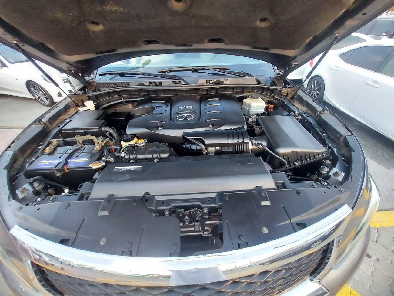 إنفينيتي QX80 LUXURY