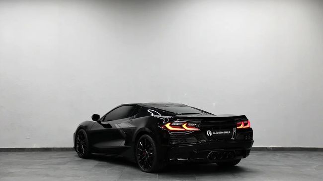 Chevrolet Corvette Stunning 2022, миниатюра 19