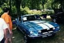 Shelby GT500 GT500