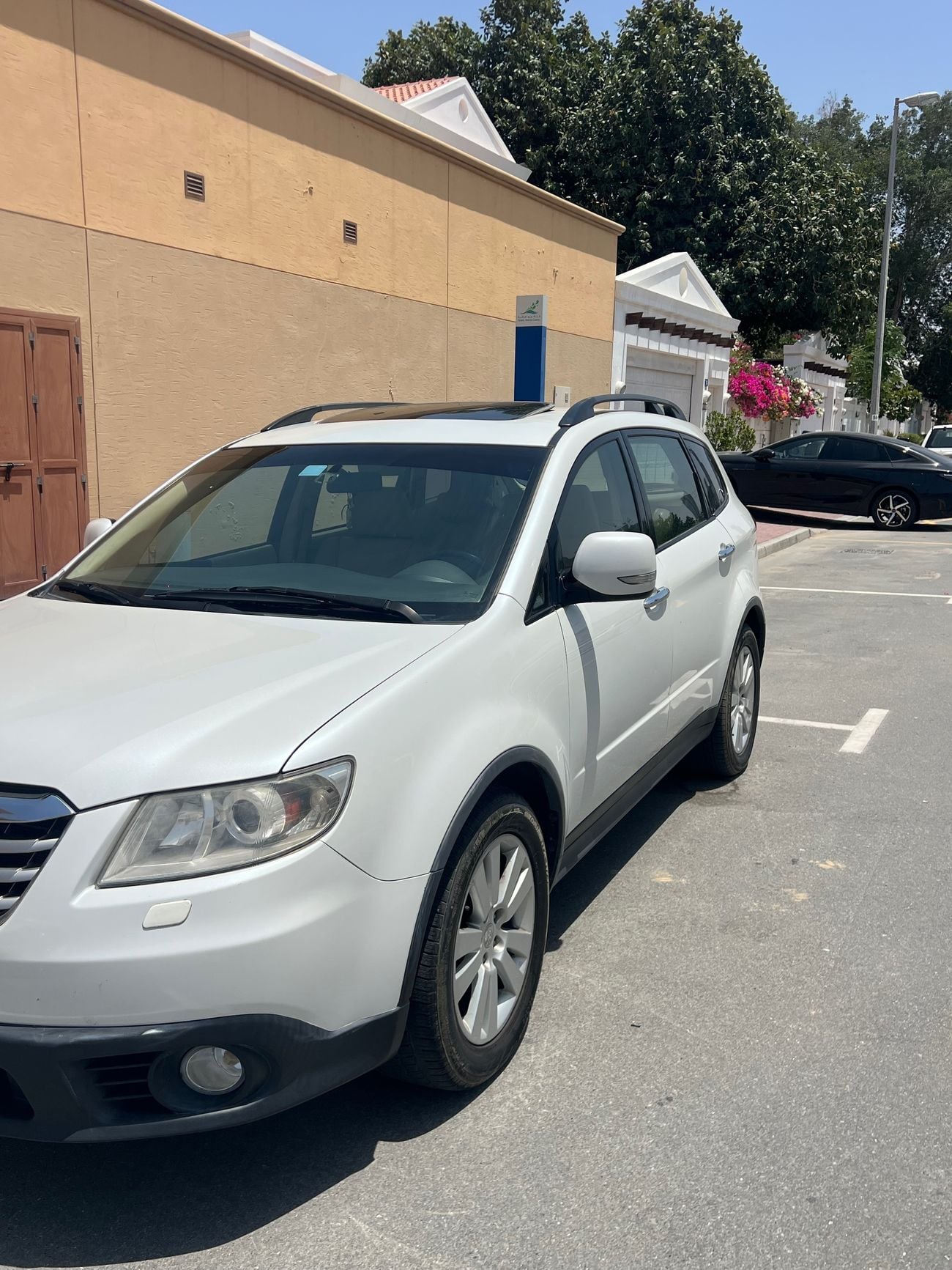 سوبارو ترايبكا Std 3.6L