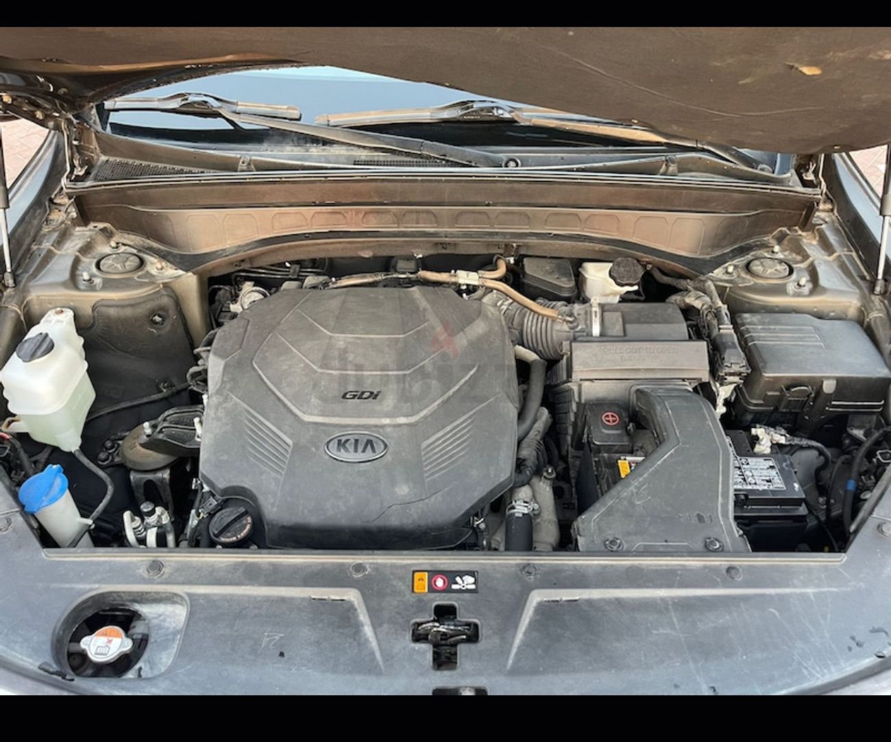 كيا تيلورايد