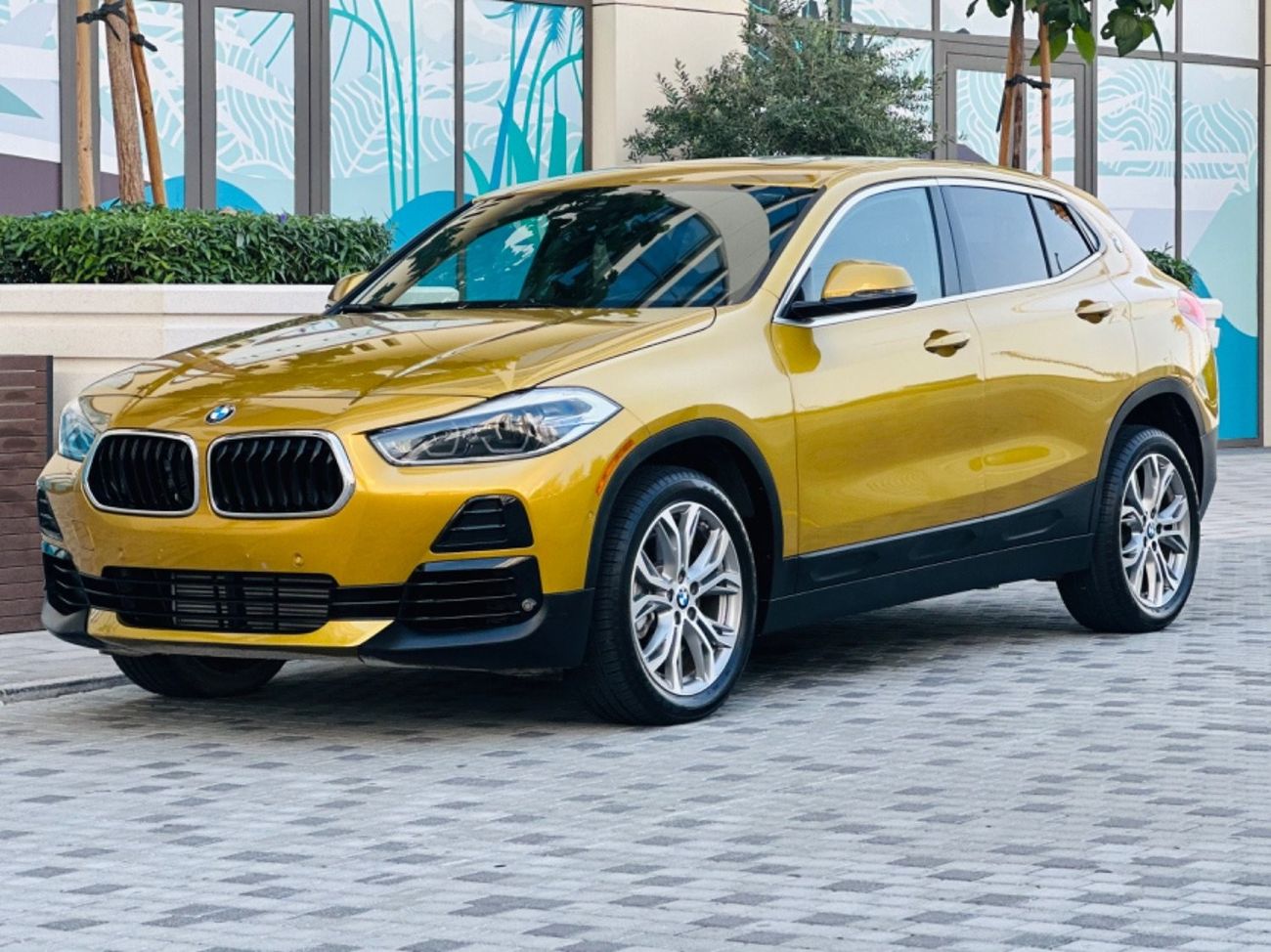 BMW X2 sDrive20i