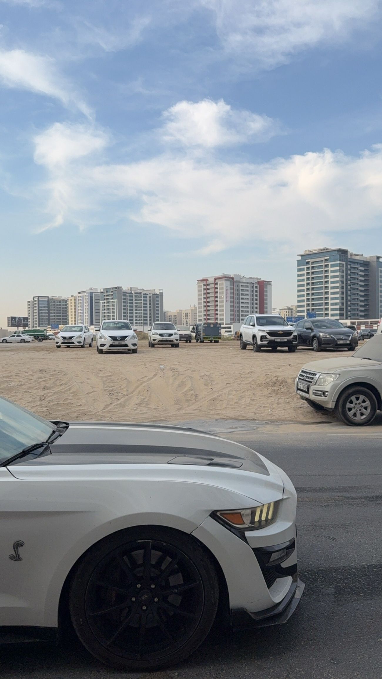 Ford Mustang Mustang GT 5.0 manual