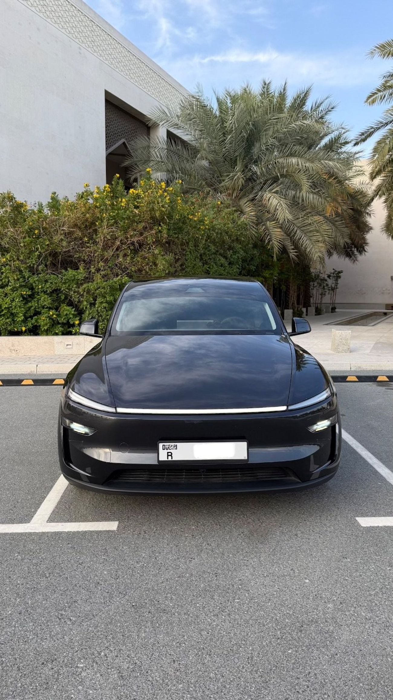 Tesla Model Y Long Range (AWD)